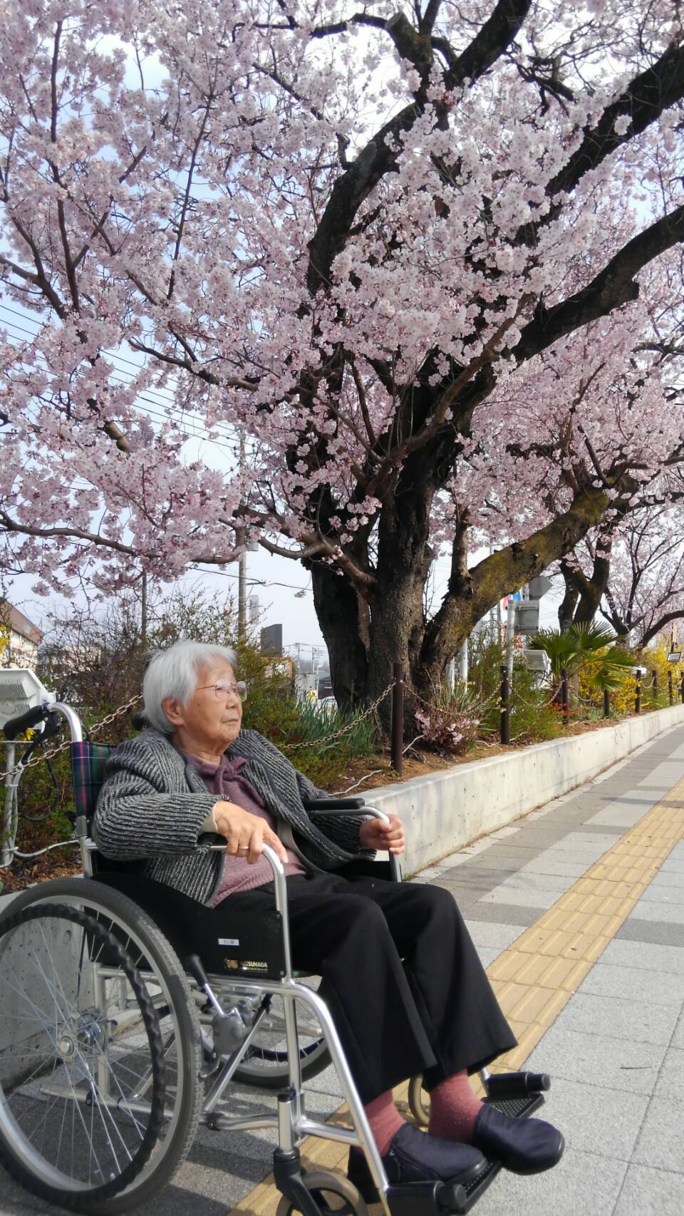 デモ